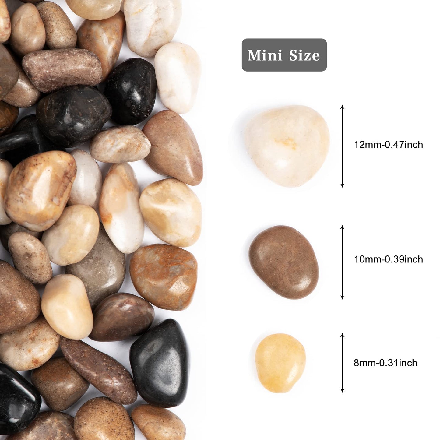 Rain Forest Natural River Rocks Polished Pebbles for Landscaping, Plants, Fish Tank, Vases, Succulents, Crafting, Home Decor ,0.3"-0.5"