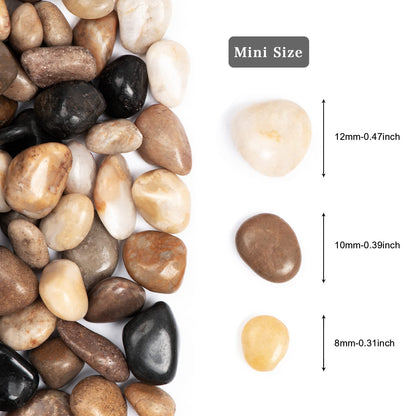 Rain Forest Natural River Rocks Polished Pebbles for Landscaping, Plants, Fish Tank, Vases, Succulents, Crafting, Home Decor ,0.3"-0.5"