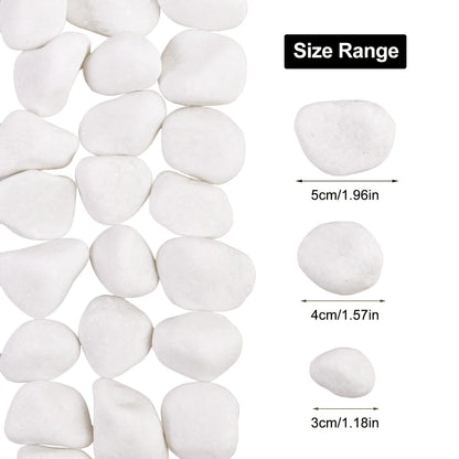 Snow White River Rocks for Landscaping- Plant,Ideal for Aquarium, Home Decor 1"-2"