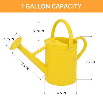 1 Gallon Metal Watering Can  for Outdoor & Indoor Use, Perfect for Garden Flower, Houseplants,