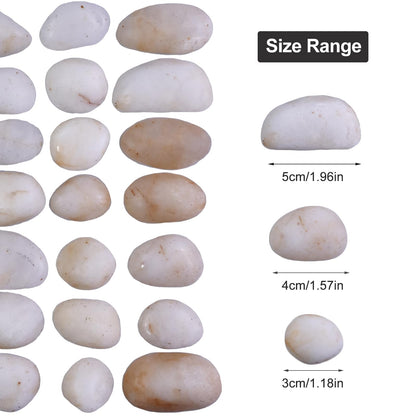 Cream White Decorative Pebbles for Plants- River Rocks for Outdoor Landscaping- 0.3"-0.8" inch High Polished Stones for Aquarium, Terrarium,Vases, Home Decor