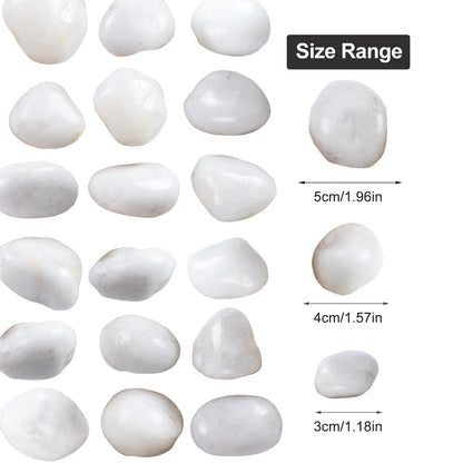 High Polished White Pebbles for Indoor Plants- Aquarium Fish Tank -Outdoor Garden Landscaping