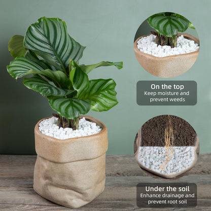 decorative gravel for indoor plants Snow White Polished Gravel for Plants Garden, Decorative Pebbles Ideal – Ausluru