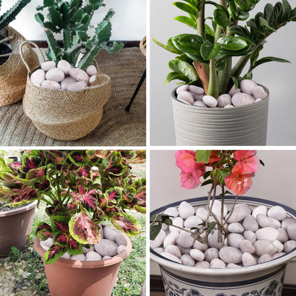 High Polished White Pebbles for Indoor Plants- Aquarium Fish Tank -Outdoor Garden Landscaping