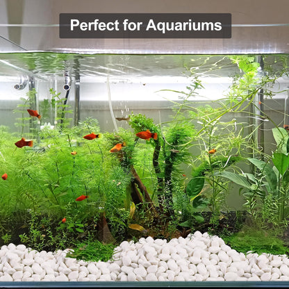 Snow White River Rocks for Landscaping- Plant,Ideal for Aquarium, Home Decor- 0.3"-0.8"