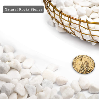 Snow White Natural River Rocks Polished Pebbles for Landscaping, Plants, Fish Tank, Vases, Succulents, Crafting, Home Decor ,0.3"-0.5"