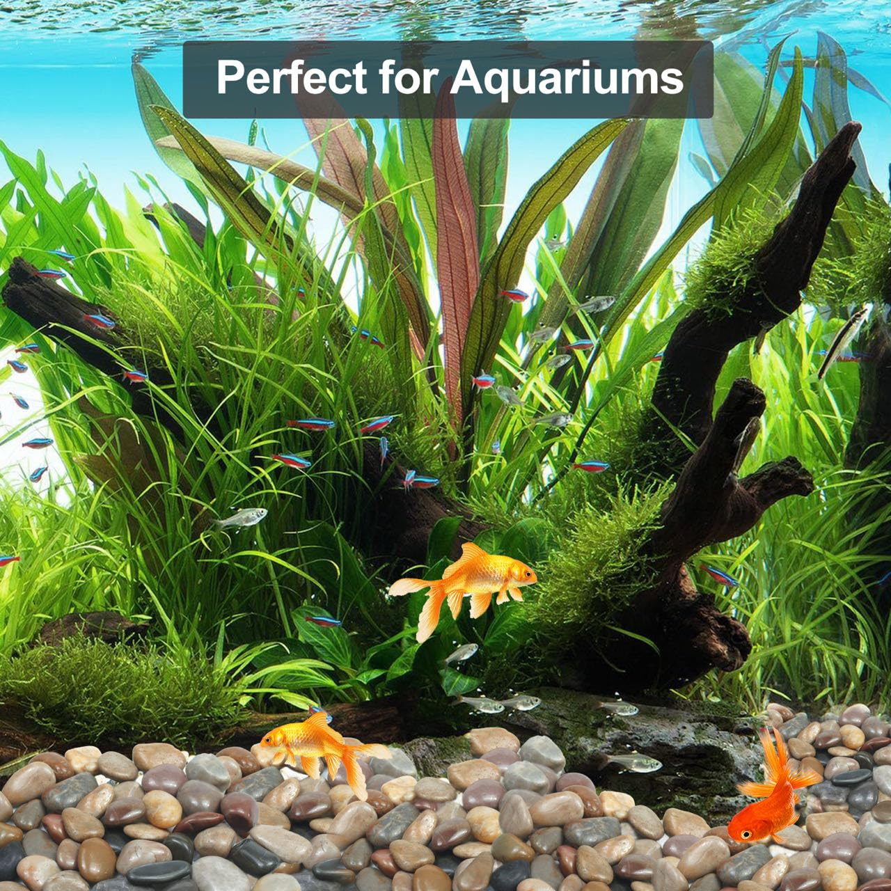 Rain Forest Mixed River Rocks for Landscaping-Polished Pebbles for Plants-Garden Decorative Stones-1-2" Large Plant Rocks,Ideal for Aquarium, Home Decor