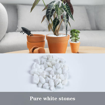 Snow White Polished Gravel for Plants Garden, Decorative Pebbles Ideal for Fish Tank, Vases, Succulents, Crafting, Home Decor