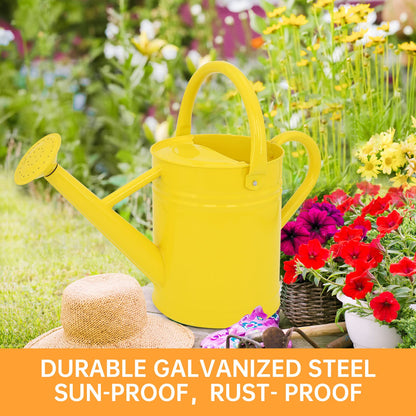 1 Gallon Metal Watering Can  for Outdoor & Indoor Use, Perfect for Garden Flower, Houseplants,
