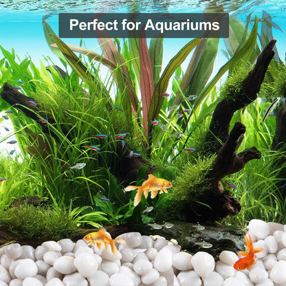 High Polished White Pebbles for Indoor Plants- Aquarium Fish Tank -Outdoor Garden Landscaping