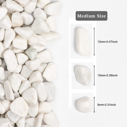 Snow White Natural River Rocks Polished Pebbles for Landscaping, Plants, Fish Tank, Vases, Succulents, Crafting, Home Decor ,0.3"-0.5"