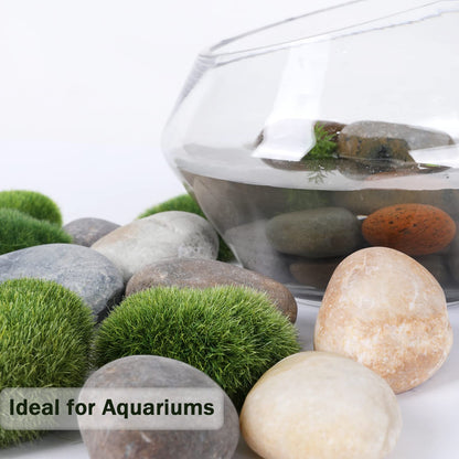 Mixed Color Smooth Pebbles River Rocks for Landscaping,  Ideal for Home Decor, Aquariums, Painting, Crafting