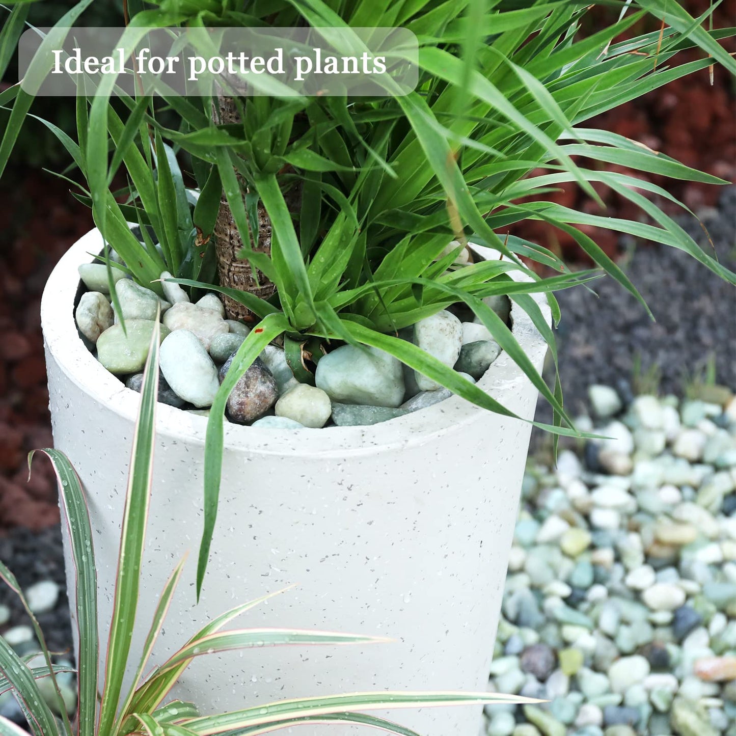 Jade Natural River Rocks Polished Pebbles for Landscaping, Plants, Fish Tank, Vases, Succulents, Crafting, Home Decor ,0.7"-1.6"