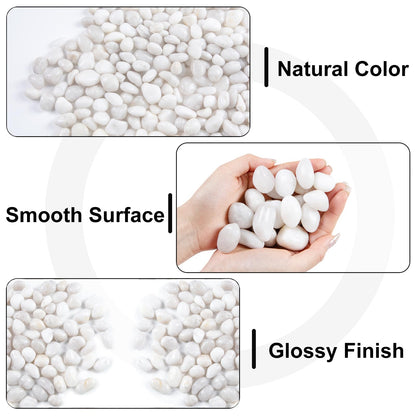High Polished White Pebbles for Indoor Plants- Aquarium Fish Tank -Outdoor Garden Landscaping