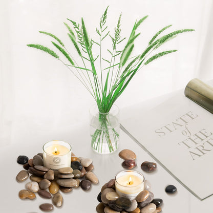 Rain Forest Natural River Rocks Polished Pebbles for Landscaping, Plants, Fish Tank, Vases, Succulents, Crafting, Home Decor ,0.3"-0.5"