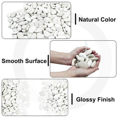 Pearl White Pebbles for Landscaping，Ideal for Aquarium, Home Decor,Terrarium，Plants