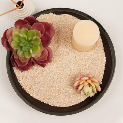 silica sand for succulents 100% Natural Sand, Multi-Purpose Natural Silica Sand for Fire Pits, Aq – Ausluru